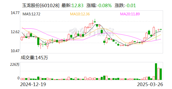 正规配资炒股官网 玉龙股份向上交所提出终止上市申请