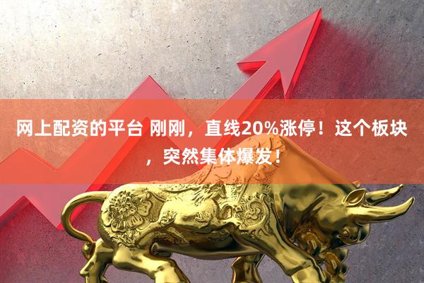 网上配资的平台 刚刚，直线20%涨停！这个板块，突然集体爆发！
